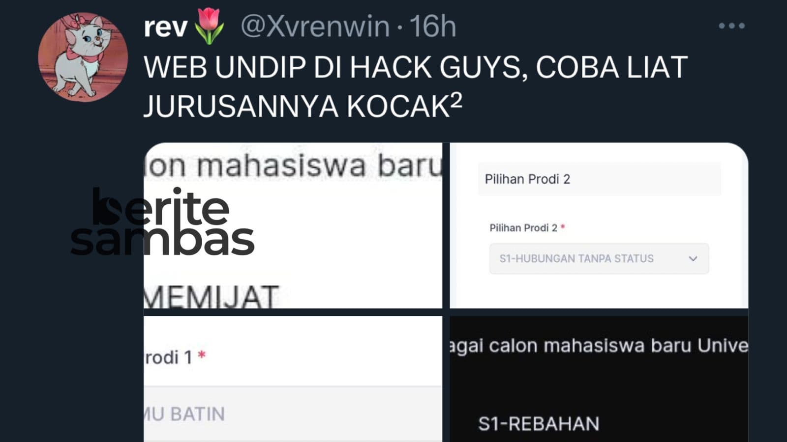 Viral! Web Pengumuman Ujian Mandiri Undip di Hack, Muncul Jurusan S1 Ilmu Batin Hingga Cek Khodam